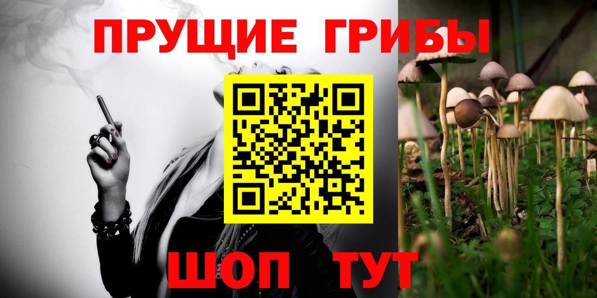 Галлюциногенные грибы Psilocybe  Вход с VPN  Гусиноозёрск  Псилоцибиновые грибы прущие грибы 