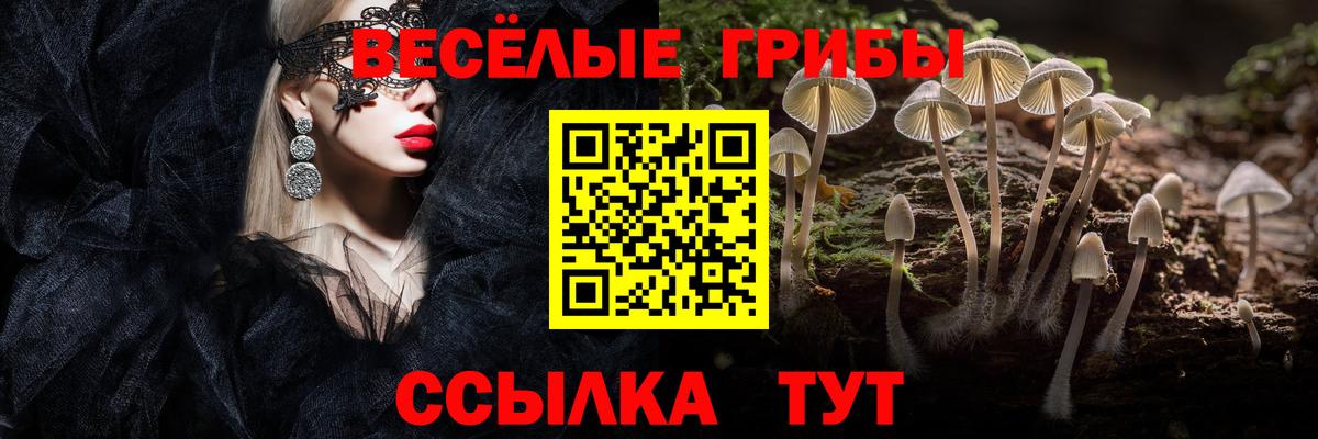 Псилоцибиновые грибы Magic Shrooms Гусиноозёрск